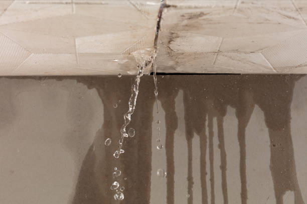 Professional Water Damage Restoration technician working in Newton Upper Falls, MA